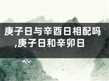 庚子日与辛酉日相配吗,庚子日和辛卯日