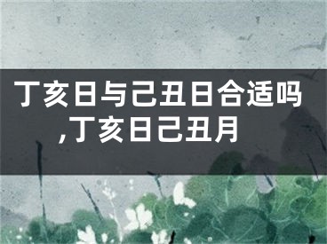 丁亥日与己丑日合适吗,丁亥日己丑月