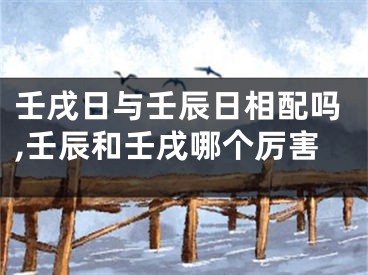 壬戌日与壬辰日相配吗,壬辰和壬戌哪个厉害