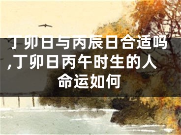 丁卯日与丙辰日合适吗,丁卯日丙午时生的人命运如何
