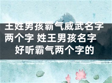 王姓男孩霸气威武名字两个字 姓王男孩名字好听霸气两个字的