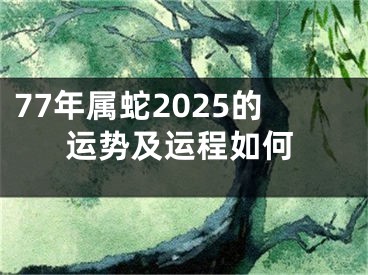 77年属蛇2025的运势及运程如何