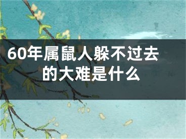 60年属鼠人躲不过去的大难是什么