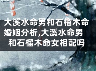 大溪水命男和石榴木命婚姻分析,大溪水命男和石榴木命女相配吗