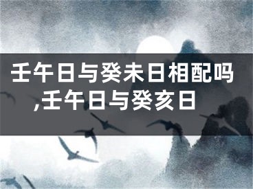 壬午日与癸未日相配吗,壬午日与癸亥日