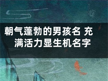 朝气蓬勃的男孩名 充满活力显生机名字