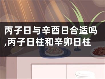 丙子日与辛酉日合适吗,丙子日柱和辛卯日柱