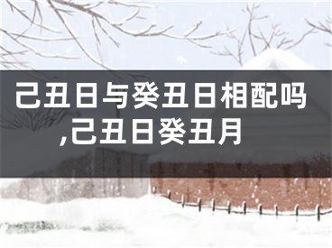 己丑日与癸丑日相配吗,己丑日癸丑月