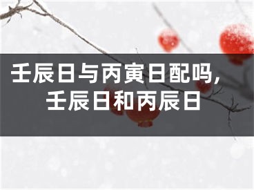 壬辰日与丙寅日配吗,壬辰日和丙辰日