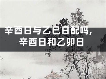 辛酉日与乙巳日配吗,辛酉日和乙卯日