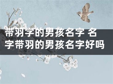 带羽字的男孩名字 名字带羽的男孩名字好吗