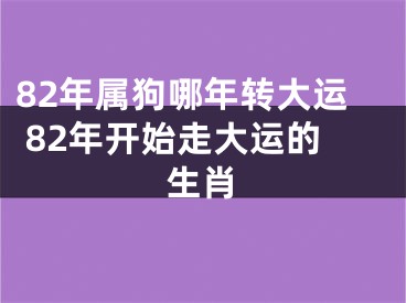 82年属狗哪年转大运 82年开始走大运的生肖