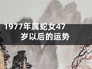 1977年属蛇女47岁以后的运势