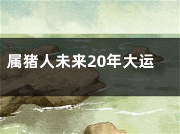 属猪人未来20年大运