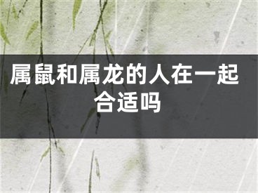 属鼠和属龙的人在一起合适吗
