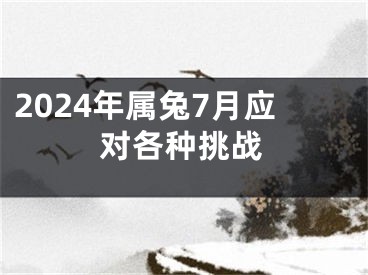 2024年属兔7月应对各种挑战