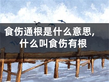 食伤通根是什么意思,什么叫食伤有根