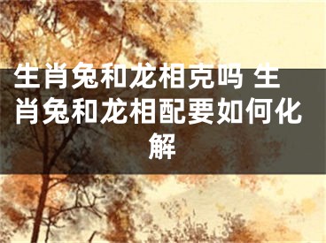 生肖兔和龙相克吗 生肖兔和龙相配要如何化解