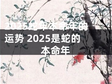 2025蛇年本命年的运势 2025是蛇的本命年