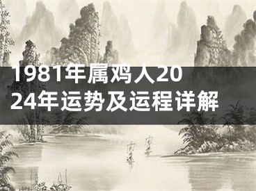 1981年属鸡人2024年运势及运程详解