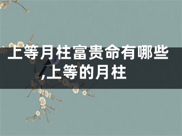 上等月柱富贵命有哪些,上等的月柱