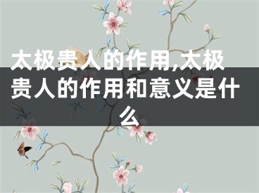 太极贵人的作用,太极贵人的作用和意义是什么