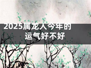 2025属龙人今年的运气好不好