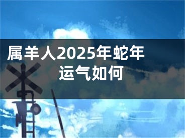 属羊人2025年蛇年运气如何