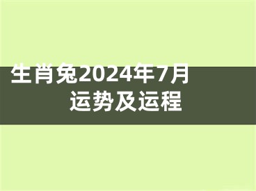 生肖兔2024年7月运势及运程