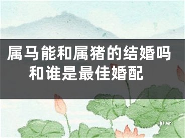 属马能和属猪的结婚吗 和谁是最佳婚配