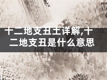 十二地支丑土详解,十二地支丑是什么意思