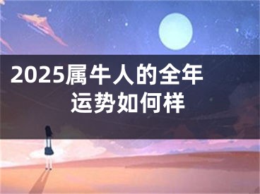 2025属牛人的全年运势如何样