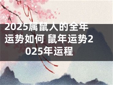 2025属鼠人的全年运势如何 鼠年运势2025年运程