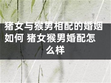 猪女与猴男相配的婚姻如何 猪女猴男婚配怎么样