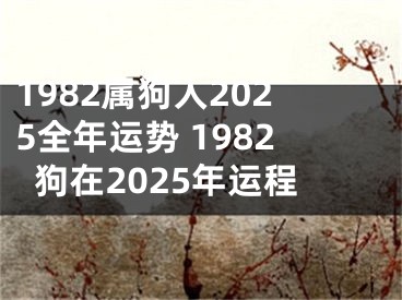 1982属狗人2025全年运势 1982狗在2025年运程