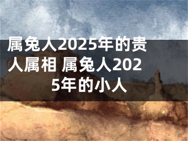 属兔人2025年的贵人属相 属兔人2025年的小人