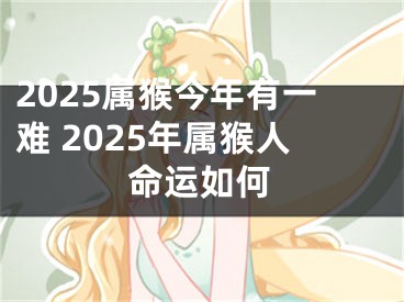 2025属猴今年有一难 2025年属猴人命运如何