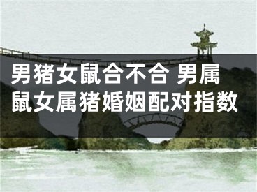男猪女鼠合不合 男属鼠女属猪婚姻配对指数