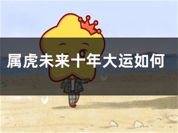 属虎未来十年大运如何
