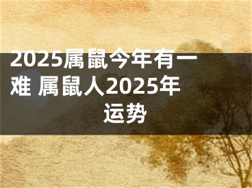 2025属鼠今年有一难 属鼠人2025年运势
