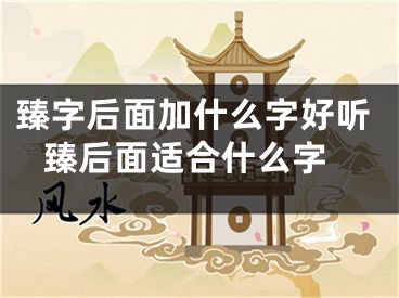 臻字后面加什么字好听 臻后面适合什么字