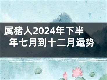 属猪人2024年下半年七月到十二月运势