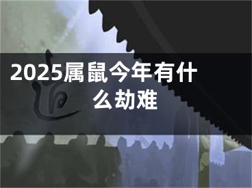 2025属鼠今年有什么劫难
