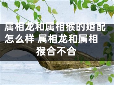属相龙和属相猴的婚配怎么样 属相龙和属相猴合不合