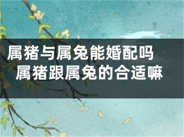 属猪与属兔能婚配吗 属猪跟属兔的合适嘛