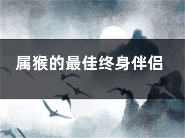 属猴的最佳终身伴侣