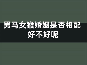 男马女猴婚姻是否相配好不好呢