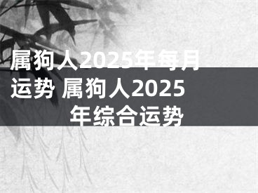 属狗人2025年每月运势 属狗人2025年综合运势