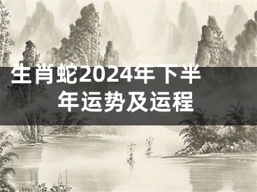 生肖蛇2024年下半年运势及运程