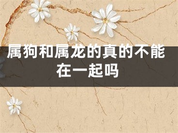 属狗和属龙的真的不能在一起吗